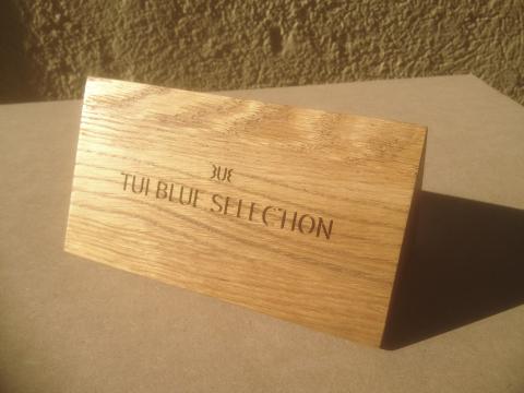 Schilder – Arbeitsbeispiel 7 von GFT Witt, München